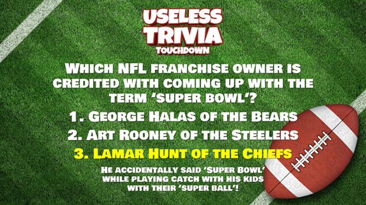 Useless Trivia Touchdown image number null